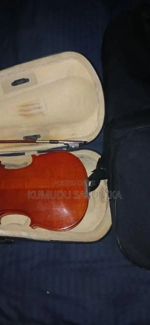 Violin