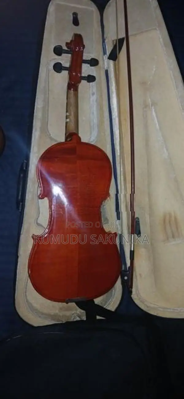 Violin
