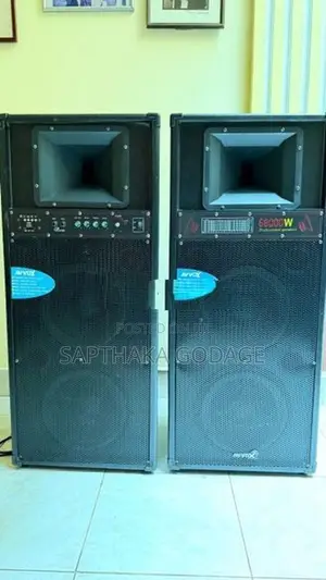 Professional Speakers