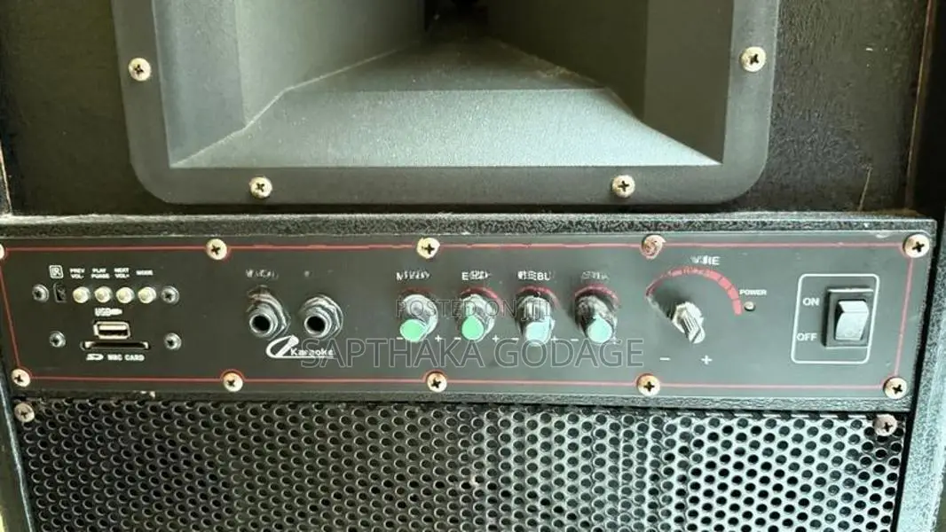 Professional Speakers