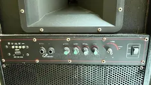 Professional Speakers
