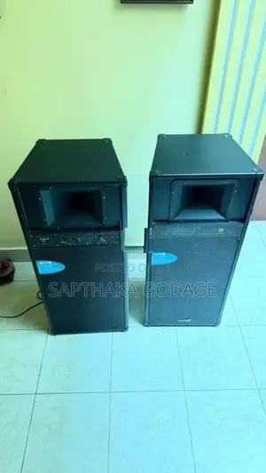 Professional Speakers