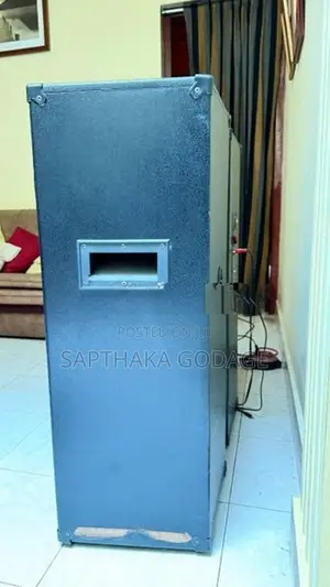 Professional Speakers