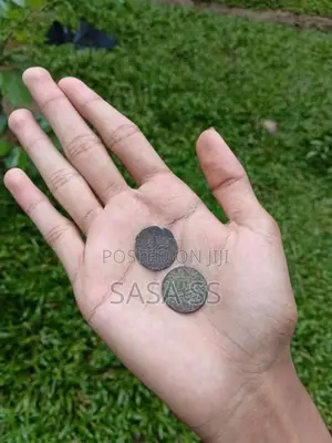 1 Massa Old Coin