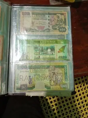 Old Notes
