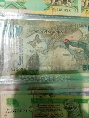 Old Notes