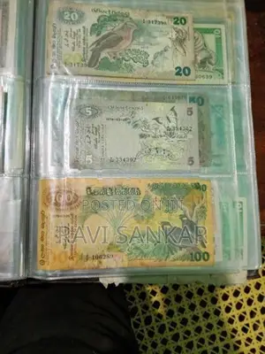 Old Notes