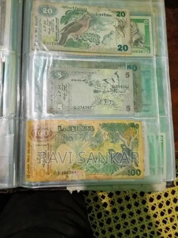 Old Notes