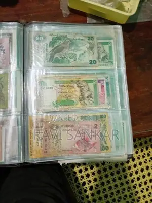 Old Notes