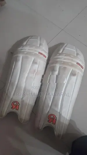 Cricket Set