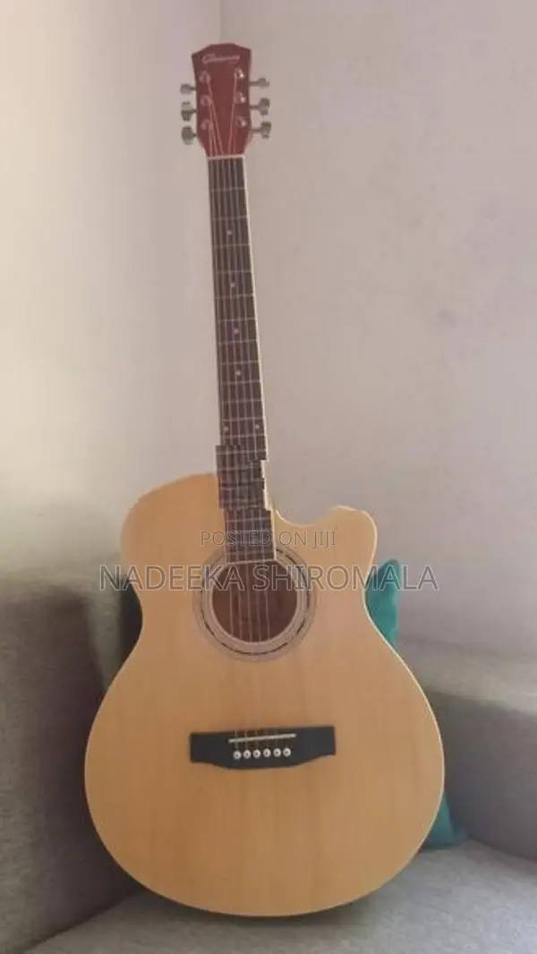 Acoustic Guitar Size 40