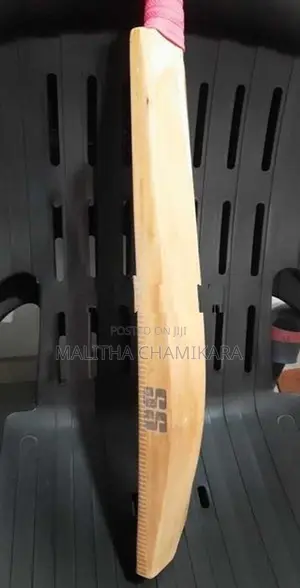 English Willow Cricket Bat