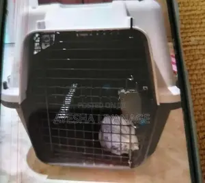 Cat Carrier