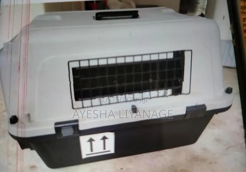 Cat Carriers