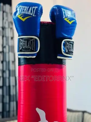 Boxing Bag