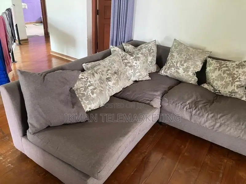 Double Sofa Set
