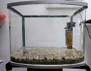 Curved Tank