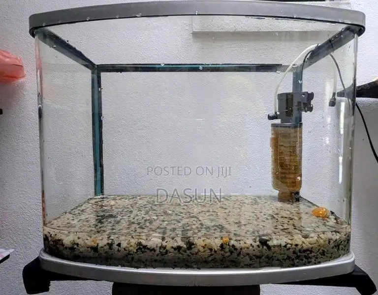 Curved Tank