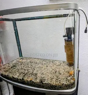 Curved Tank