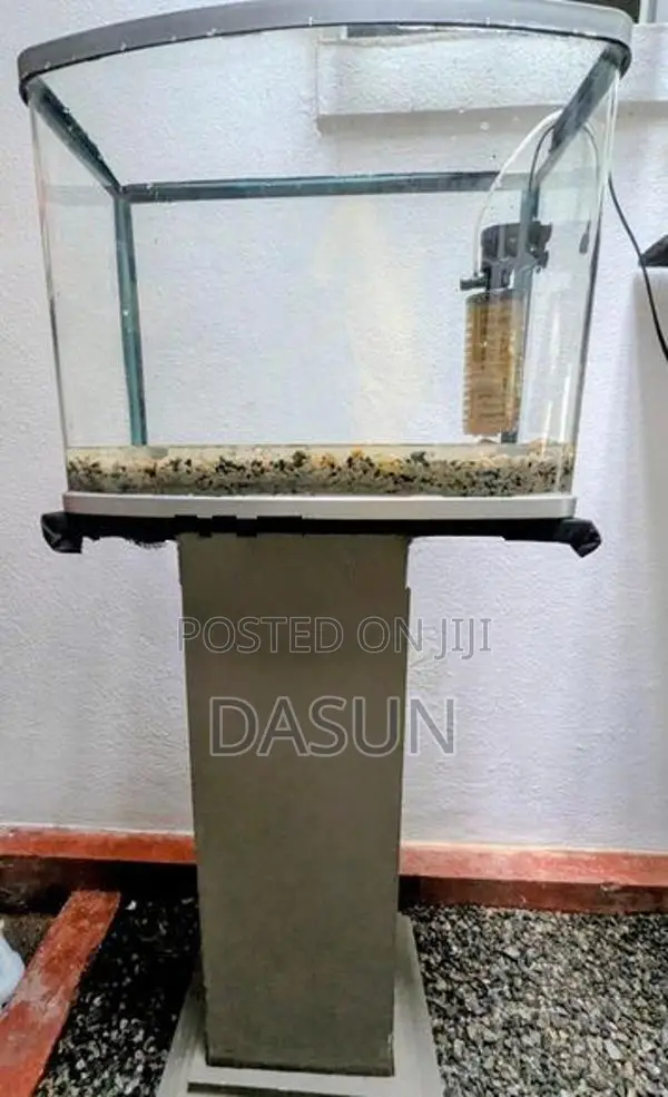 Curved Tank