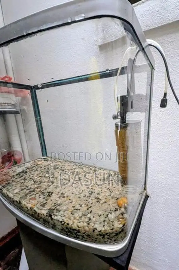 Curved Tank