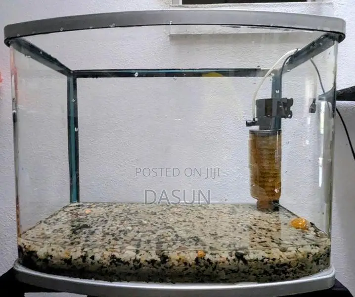 Curved Tank