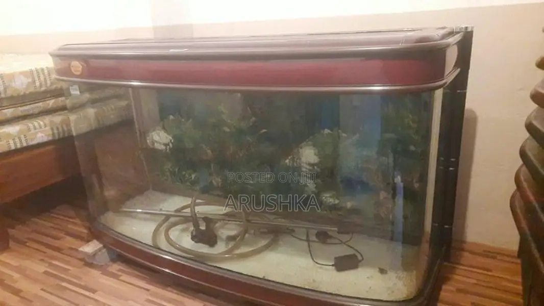 Minjiang R9-S1500GM Aquarium Tank (5.15 Feet / 440 Liters)