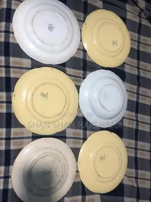 Dish Plate