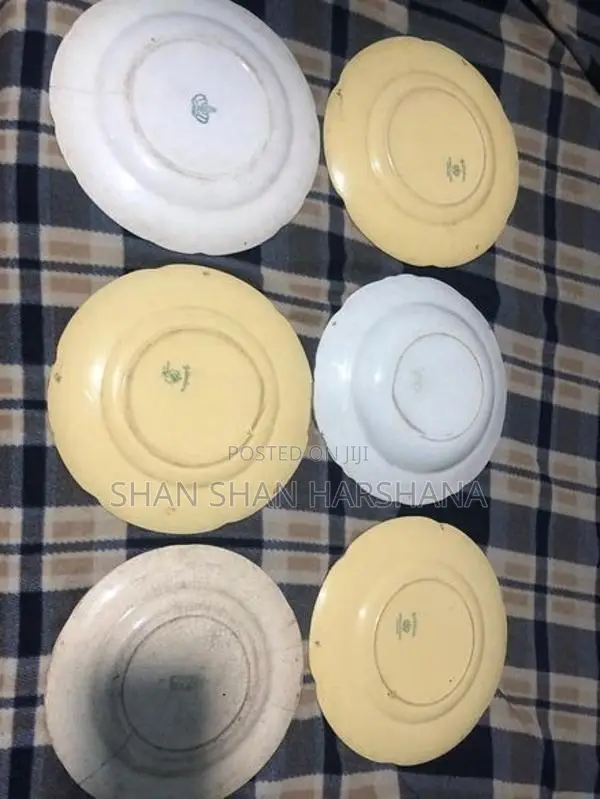 Dish Plate