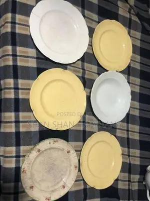 Dish Plate