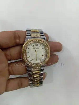 Belbi Silver and Gold Hand Watch