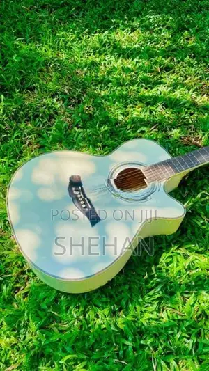 Guitarist Classic Guitar