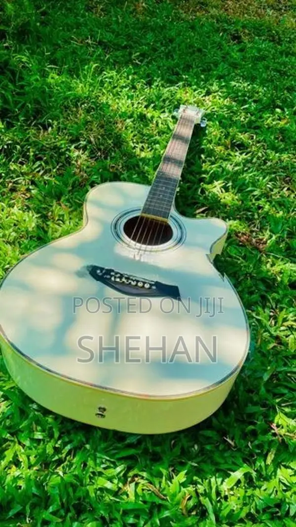 Guitarist Classic Guitar