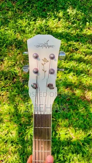 Guitarist Classic Guitar