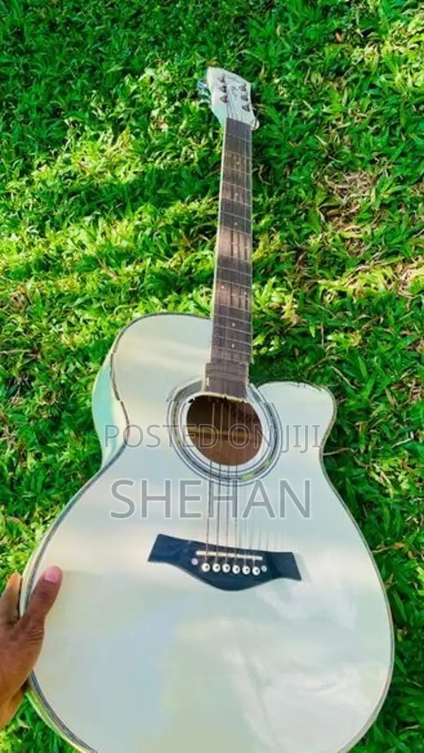 Guitarist Classic Guitar