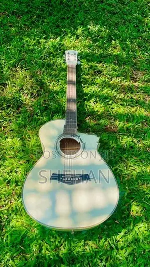 Guitarist Classic Guitar