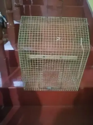 Used Bird Cage