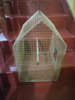 Used Bird Cage