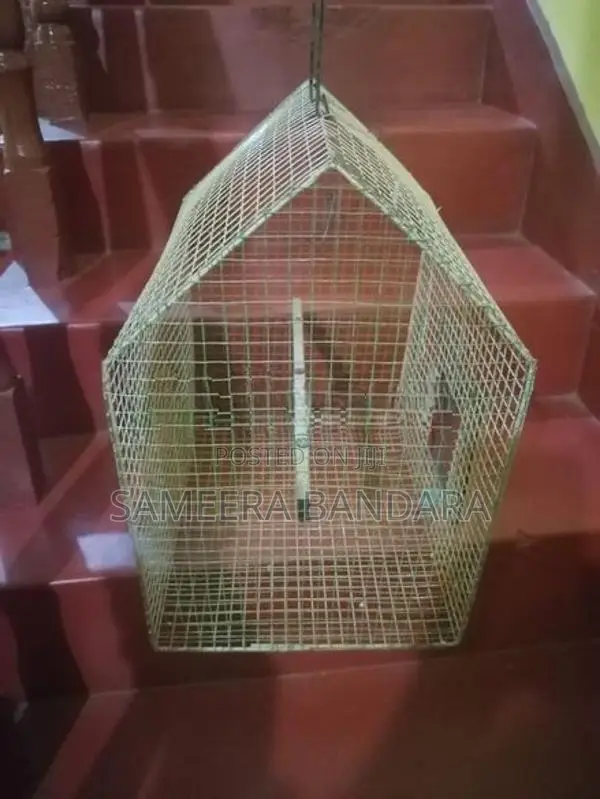 Used Bird Cage