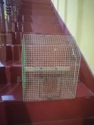 Used Bird Cage