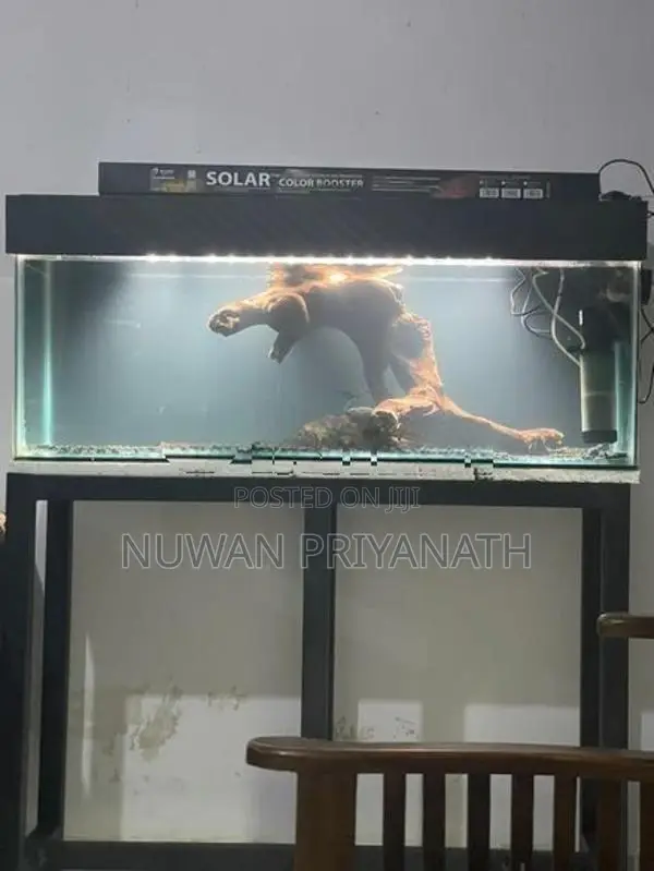 4 Fish Tanks