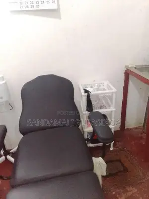 Facial Bed