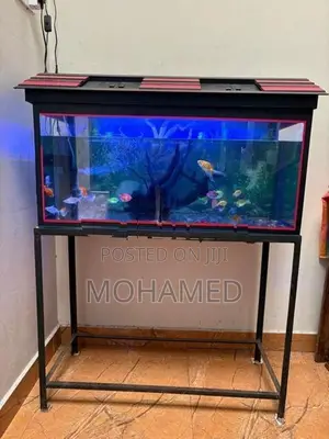 Fish Tank