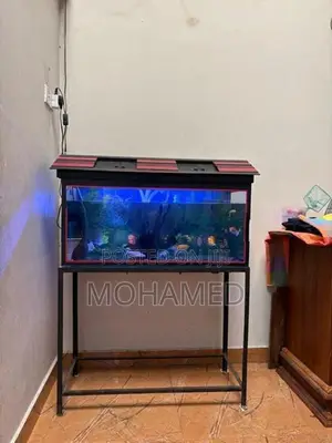 Fish Tank