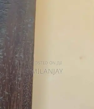 Antique Door Frame 4