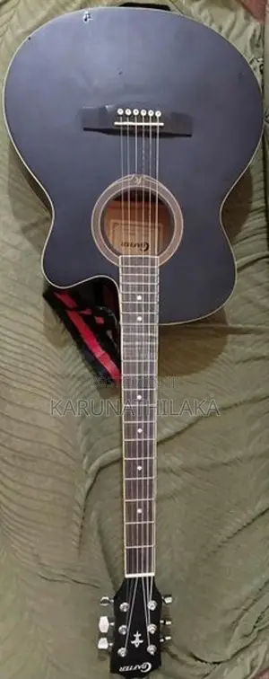 Crafter Guitar