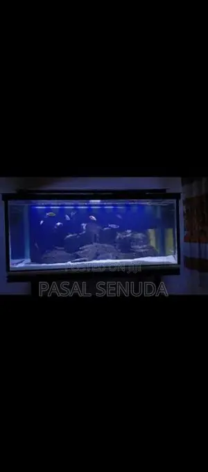 Fish Tank