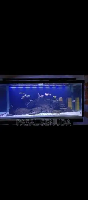 Fish Tank