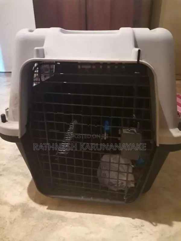 Cat Carriers