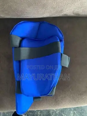 Cricket Thigh Pad Set
